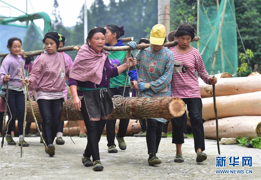 （社會(huì)）（6）苗山脫貧影像志——烏英苗寨的“娘子軍”