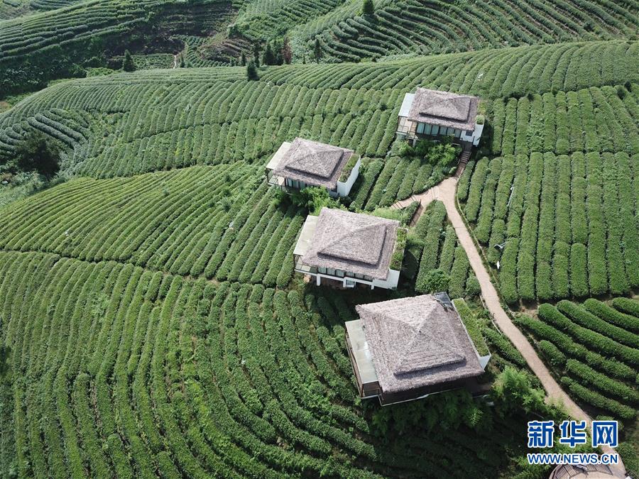 (空中瞰祖國)(16)夏華燦爛