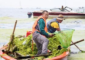 （社會）（1）海岸環衛 保潔海濱