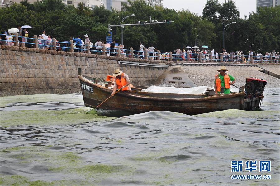（社會(huì)）（4）海岸環(huán)衛(wèi) 保潔海濱