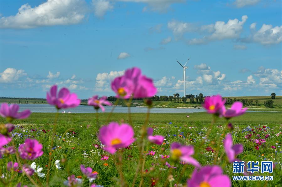 （新華視界）（7）夏日查干湖