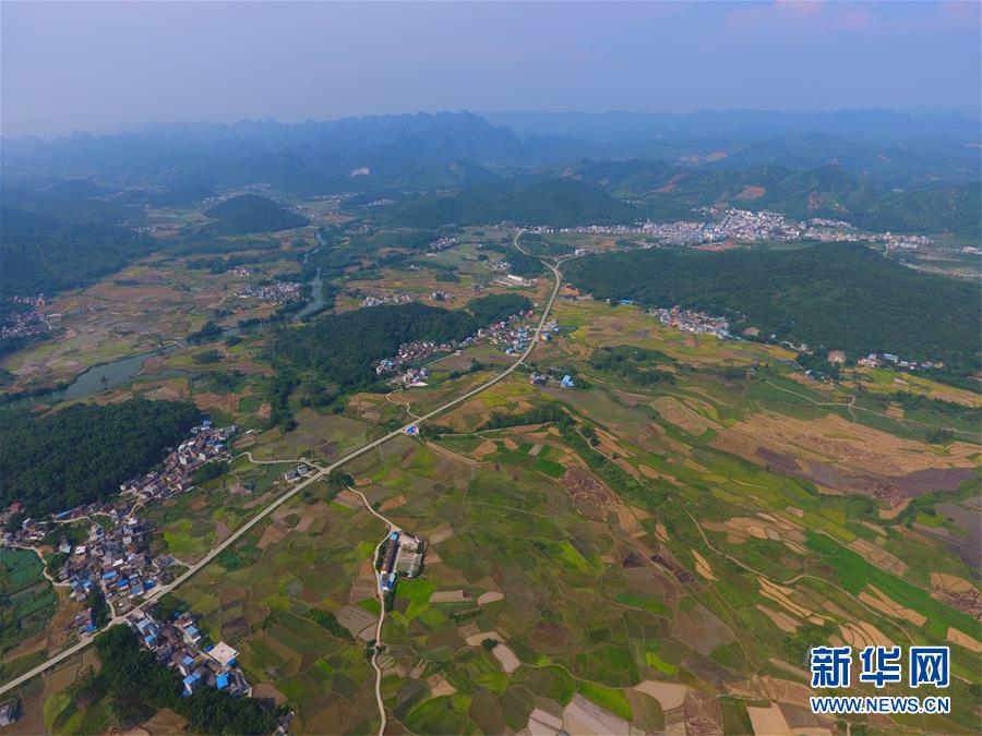 （環(huán)境）（3）立秋田園美