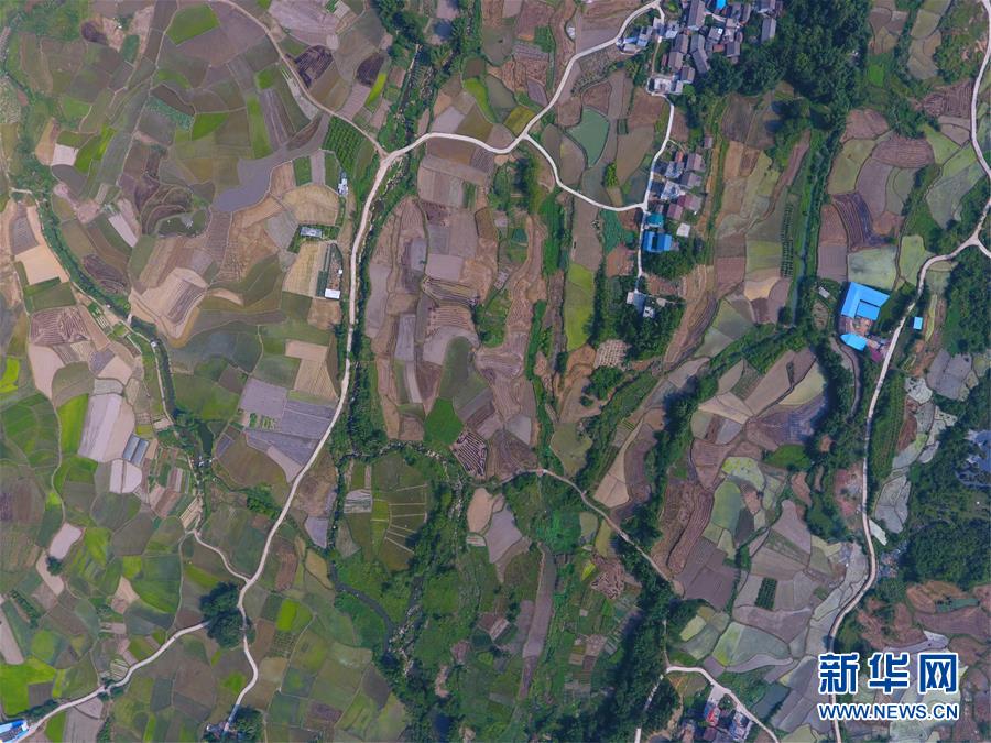 （環(huán)境）（4）立秋田園美