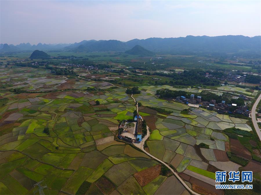 （環(huán)境）（5）立秋田園美