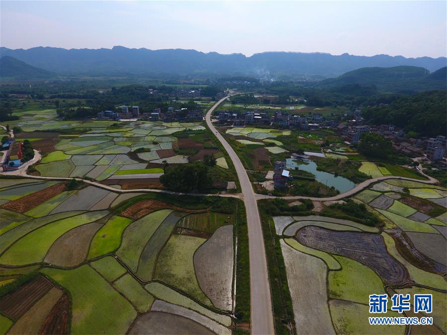 （環(huán)境）（6）立秋田園美
