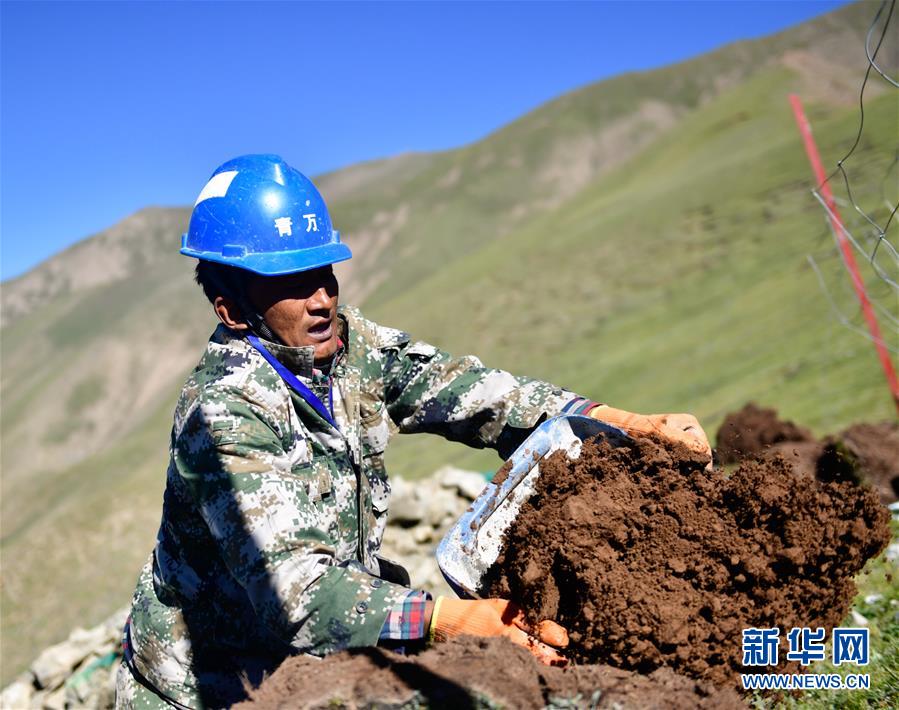 (社會(huì))(6)行走在云端的電網(wǎng)建設(shè)者