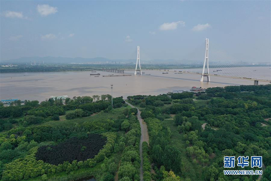 (環境)(4)南京:江邊濕地綠意濃