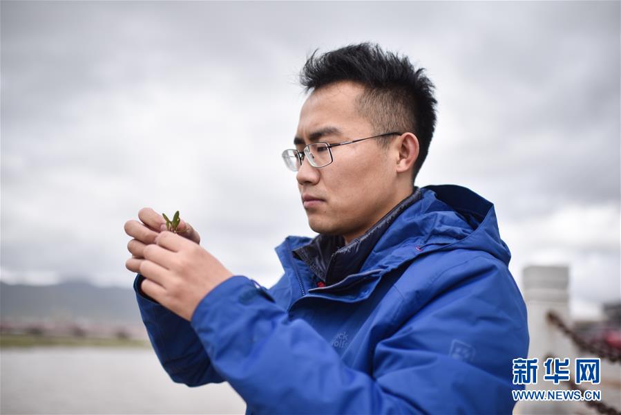 (熱點鮮報·圖文互動)(4)江源科考隊里的年輕人