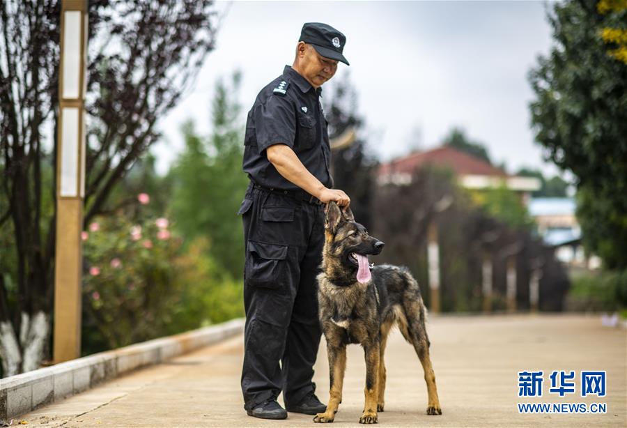 (社會)(3)我國首只警用工作克隆犬“昆勛”入警