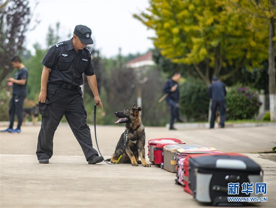 (社會)(4)我國首只警用工作克隆犬“昆勛”入警