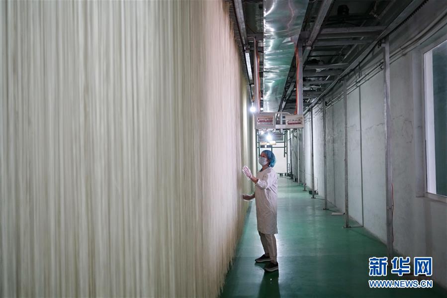 (經濟)(3)河北辛集:手工掛面拓寬增收路