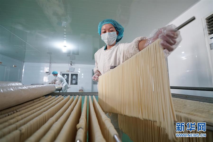 (經濟)(2)河北辛集:手工掛面拓寬增收路