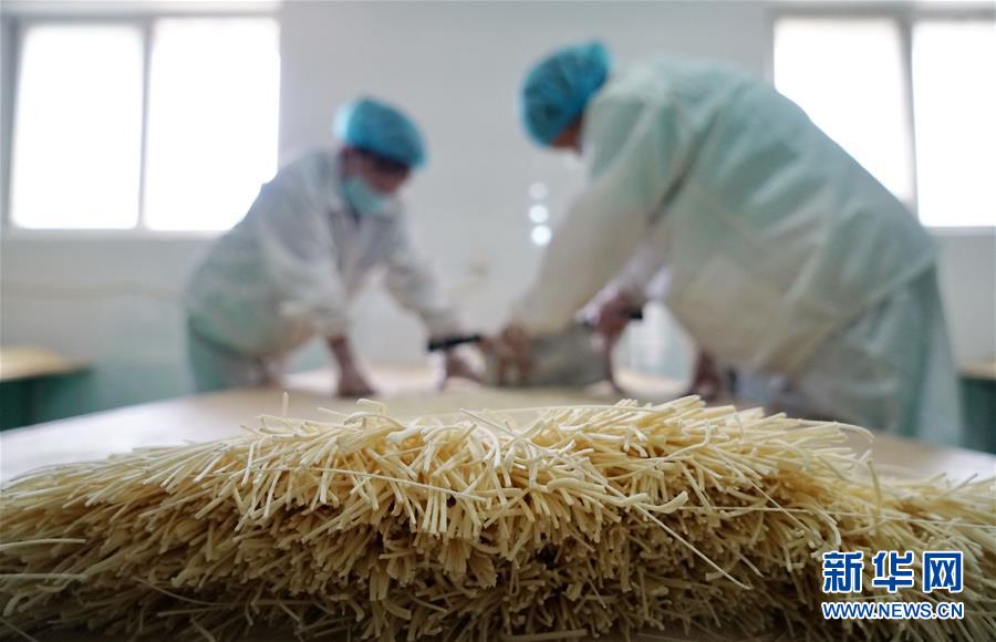 (經濟)(5)河北辛集:手工掛面拓寬增收路