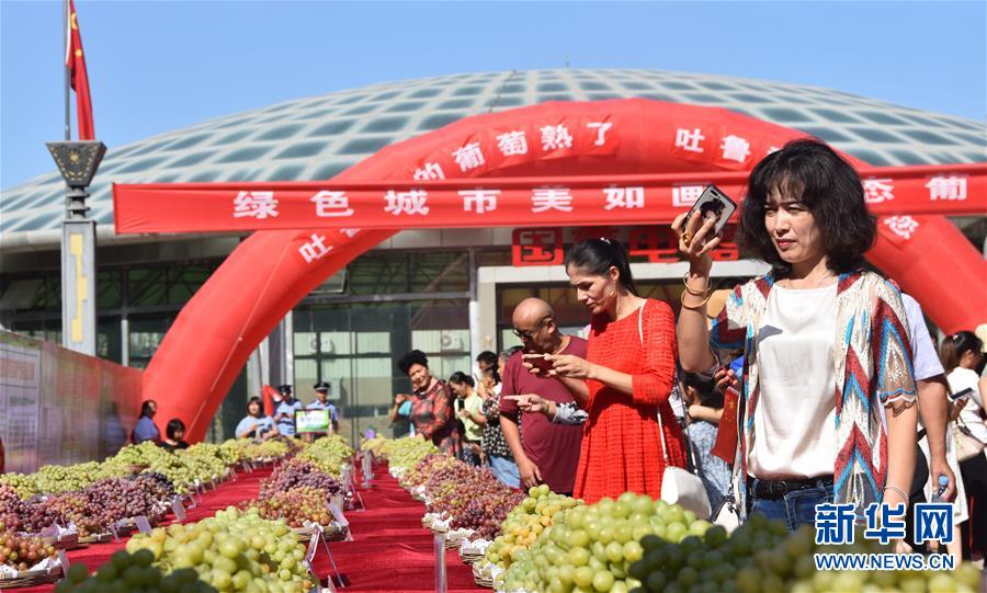 （圖文互動）（1）吐魯番葡萄節：200余種葡萄舌尖斗“甜”