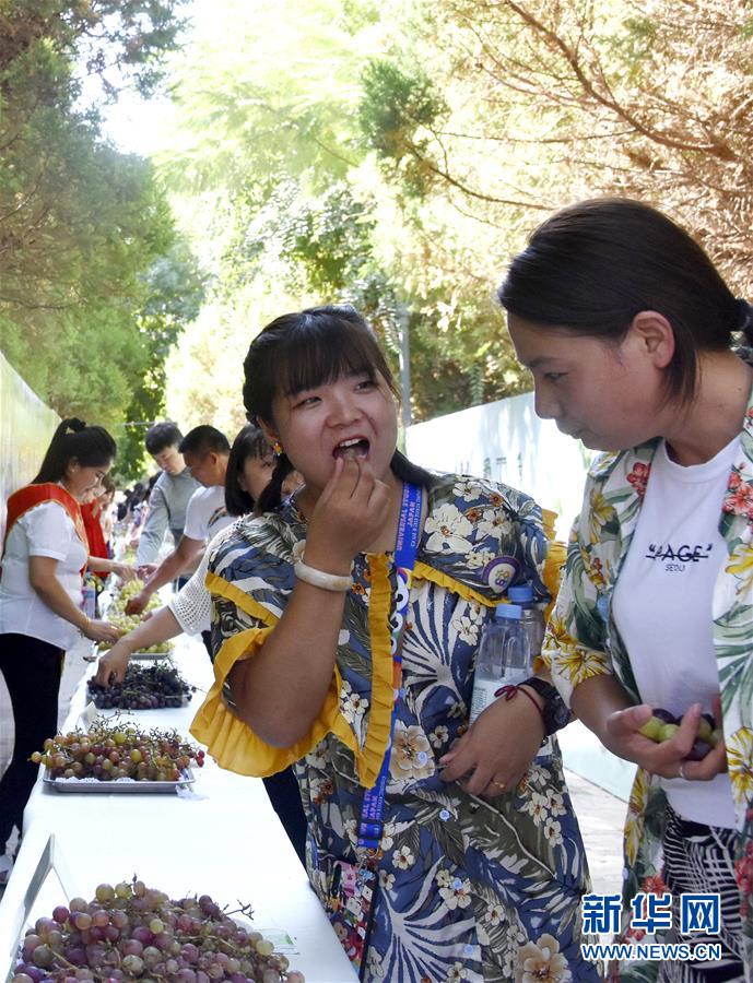（圖文互動）（2）吐魯番葡萄節：200余種葡萄舌尖斗“甜”