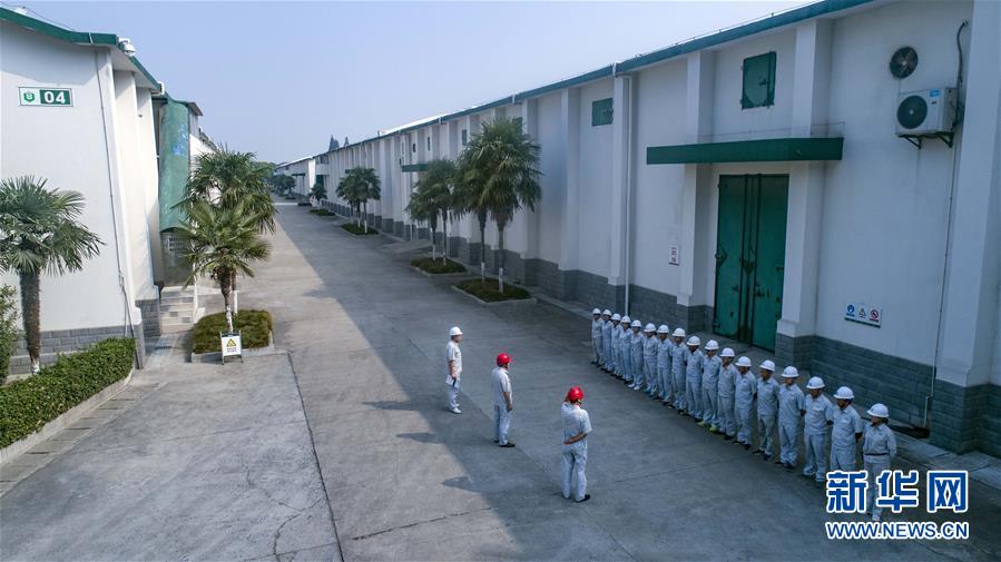 (經濟)(6)走進中儲糧襄陽直屬庫