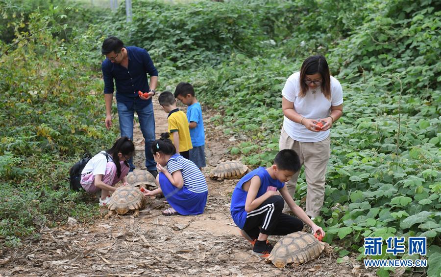 (圖片故事)(3)“80”后夫婦的山村“龜園”