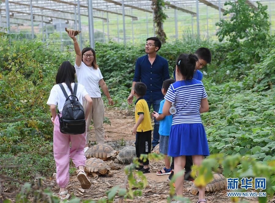 (圖片故事)(9)“80”后夫婦的山村“龜園”