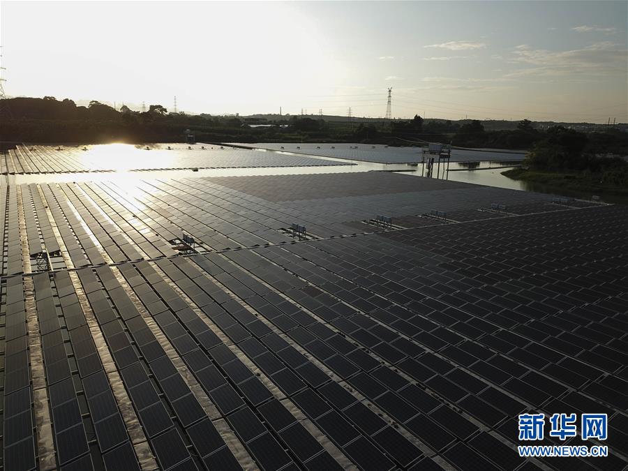 （社會）（1）廣西田東：多措并舉助脫貧