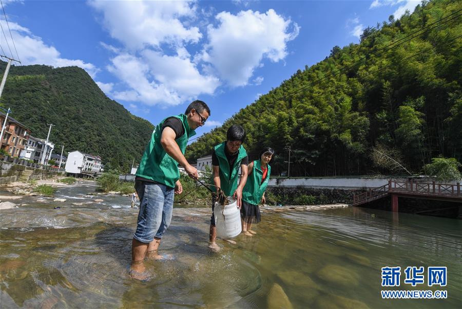 (社會)(2)山村“綠管家”守護綠水青山