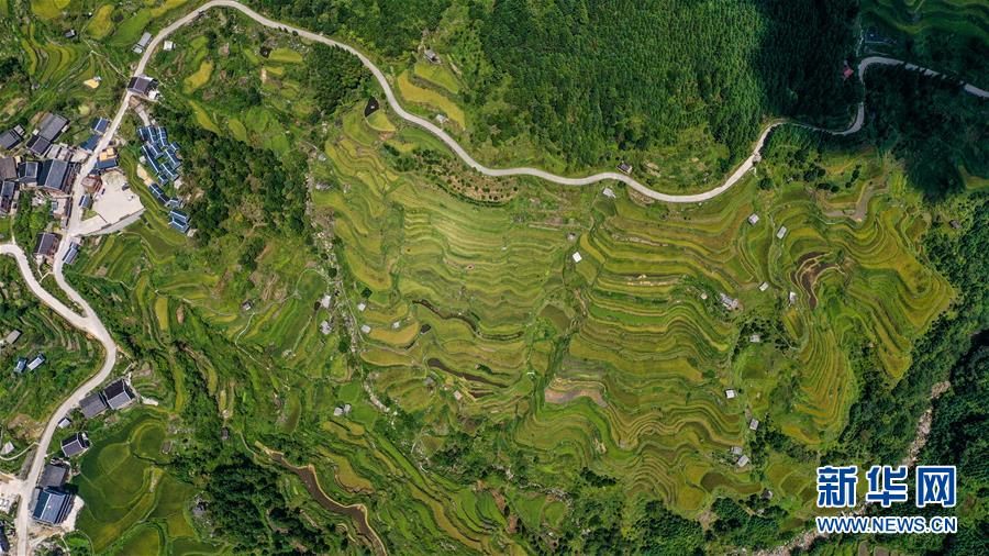 (美麗中國(guó))(2)苗鄉(xiāng)秋色美
