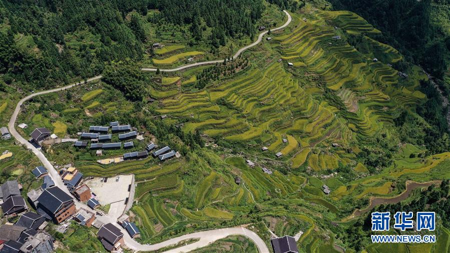 (美麗中國(guó))(4)苗鄉(xiāng)秋色美