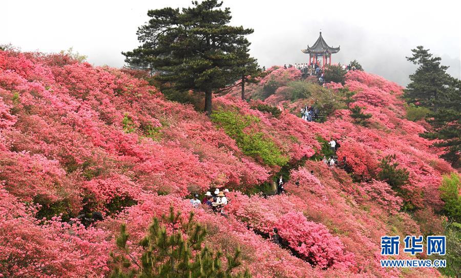 （新華全媒頭條·圖文互動）（5）七十年間有大別——大別山革命老區(qū)發(fā)展紀實
