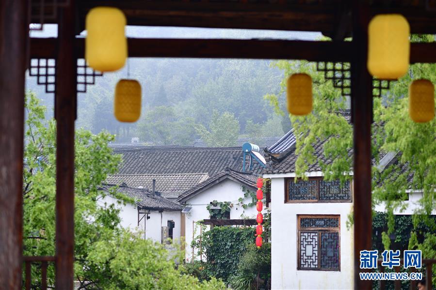 （社會）（3）河南信陽：“多彩田園”鋪就綠色發展之路