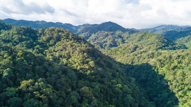 生物多樣性的有力呵護(hù)——海南熱帶雨林國家公園正式設(shè)立