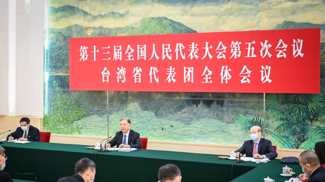 （兩會受權發(fā)布）汪洋參加臺灣代表團審議