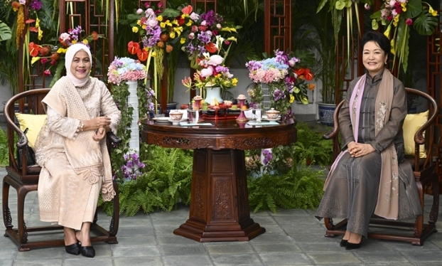 彭麗媛會(huì)見(jiàn)印尼總統(tǒng)夫人伊莉亞娜(高清組圖)