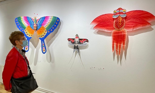 濰坊風箏展在瑞典舉行（高清組圖）