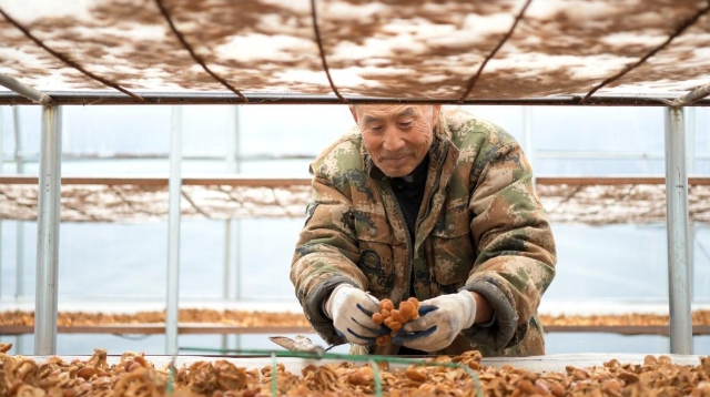 領航中國｜彪炳史冊的人間奇跡——黨的十八大以來我國脫貧攻堅成就舉世矚目