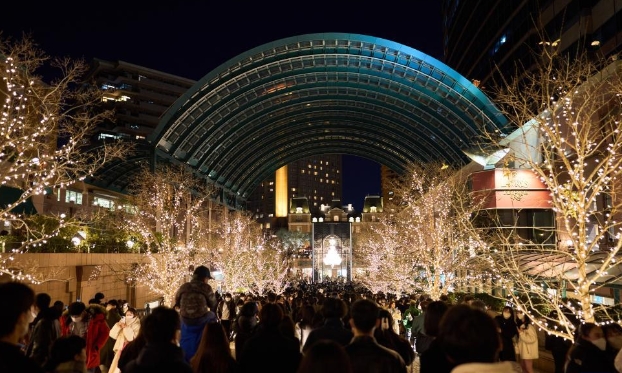 東京多地亮燈辭舊迎新(高清組圖)