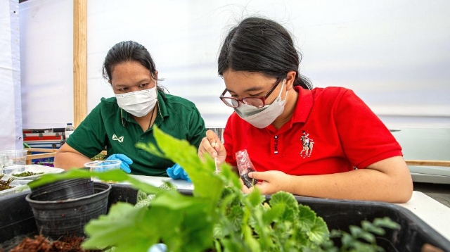 世界孤獨癥日:探訪泰國孤獨癥職業中心（高清組圖）