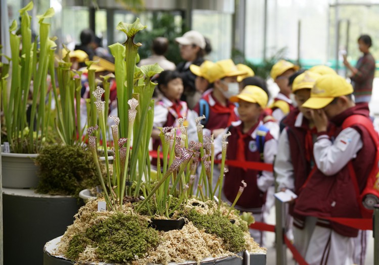 國家植物園已收集珍稀瀕危植物近千種