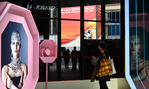 第六屆進博會丨走進進博會消費品展區（高清組圖）
