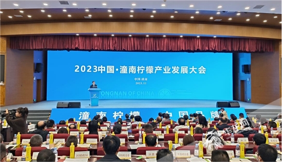 遇見潼南檸檬丨潼南檸檬產業發展大會舉行 這三個場景“檸”聚了人氣