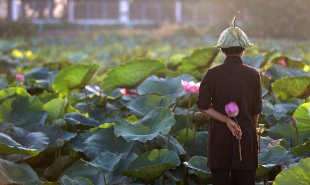 鏡觀世界丨河內：在“百花春城”感受千年古城的生機（高清組圖）