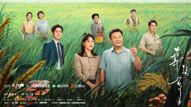 電視劇《幸福草》定檔8.8 在央一黃金檔播出
