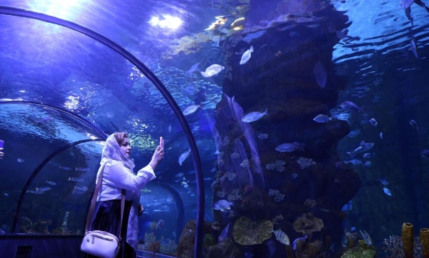 伊朗的恩澤利水族館