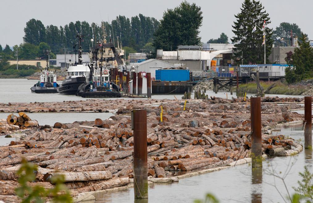 國際觀察丨美“對等關稅”生效　經濟訛詐遭各國反對