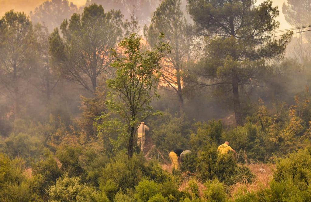 土耳其野火致達達尼爾海峽航道臨時關閉