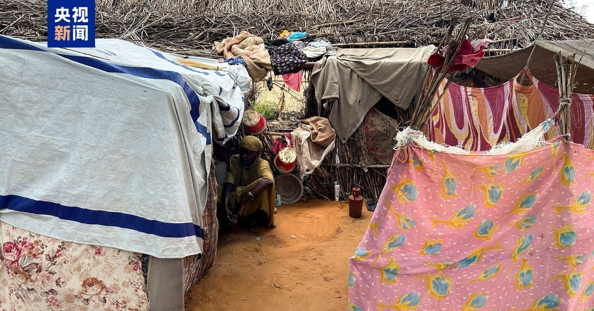 蘇丹一難民營遭武裝分子襲擊 超40人死亡