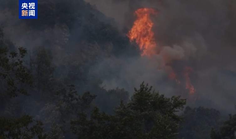 阿爾巴尼亞森林火災(zāi)持續(xù) 超20人因蓄意縱火被捕