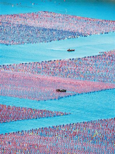 中國海水產品產量連續多年全球第一——看看咱超700億斤的“海產庫”