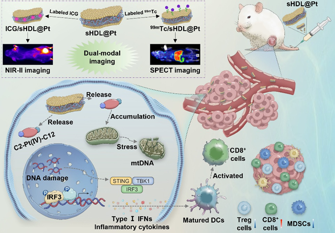 科學與健康丨“多兵種協同”！我國腫瘤治療向精準醫學邁進