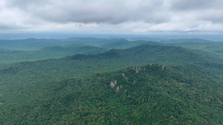 新華全媒+｜雞冠山東北抗聯密營遺址考古發掘成果在哈爾濱公布