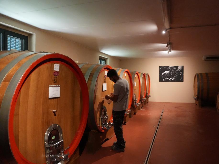 記者手記｜葡萄滿枝頭 焦慮壓心頭——探訪美關稅沖擊下的意大利酒莊