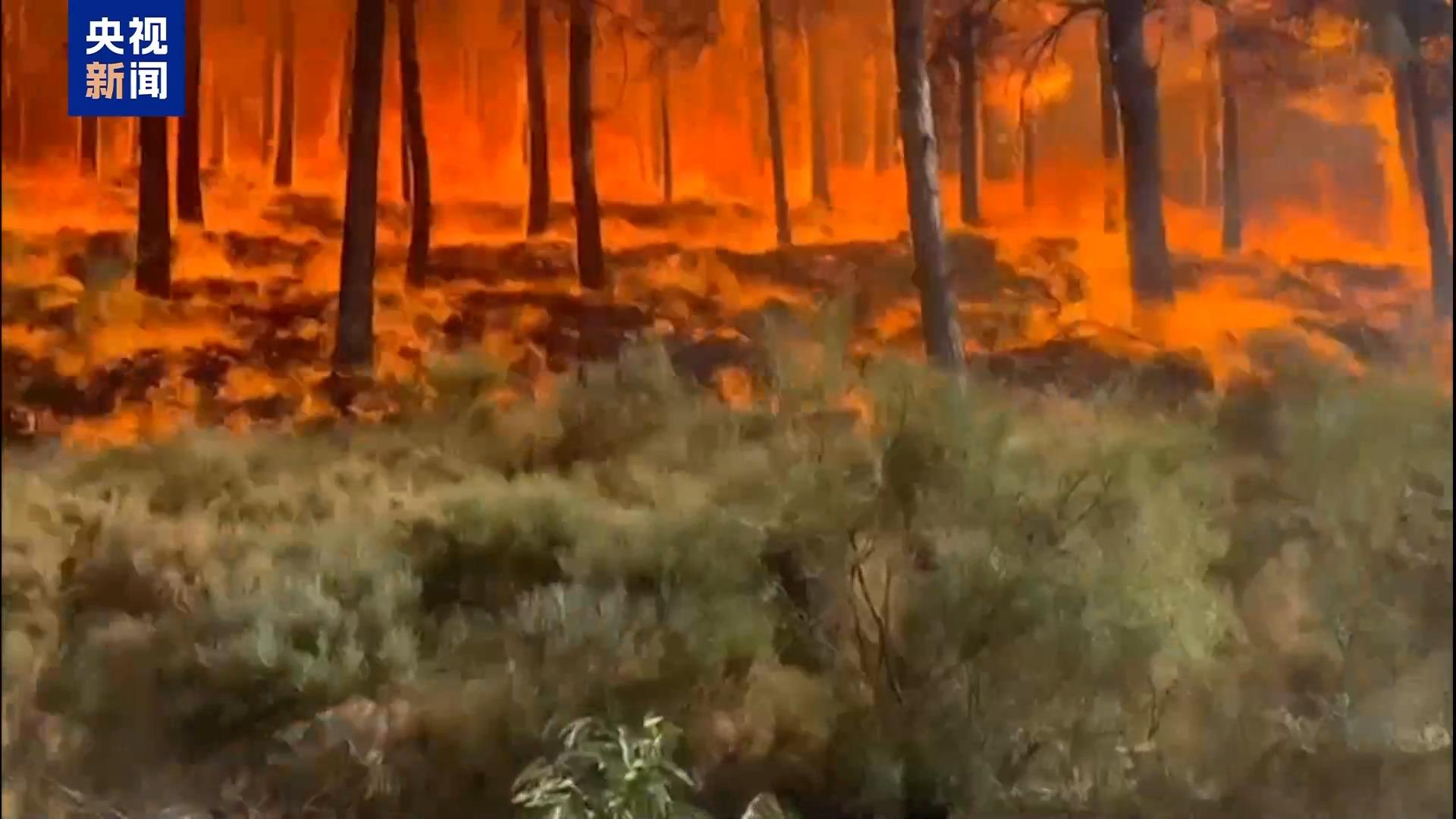 歐盟今年已有超100萬公頃土地遭山火侵襲